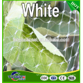 High quality virgin hdpe anti bird net of blue green and white colour for agricultural or fruits trees with uv made in china